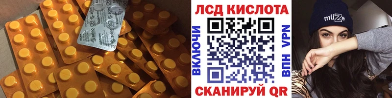 LSD-25 экстази ecstasy  kraken вход  Новороссийск 