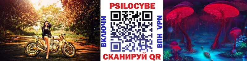 Галлюциногенные грибы GOLDEN TEACHER  купить  цена  Новороссийск 