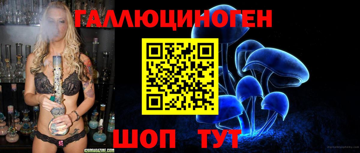 Новороссийск  где можно купить   Вход с VPN  Псилоцибиновые грибы прущие грибы 